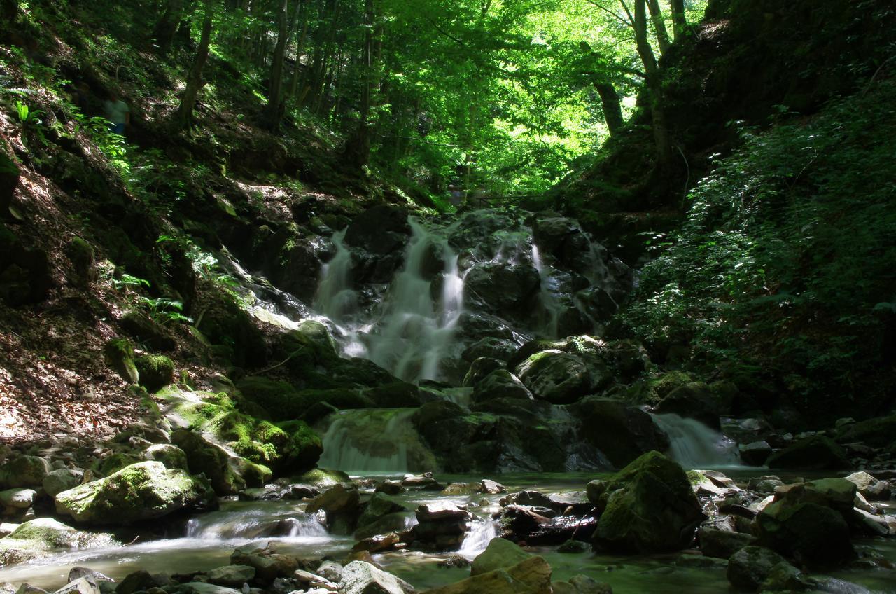 Семеен Хотел Вит Teteven Esterno foto